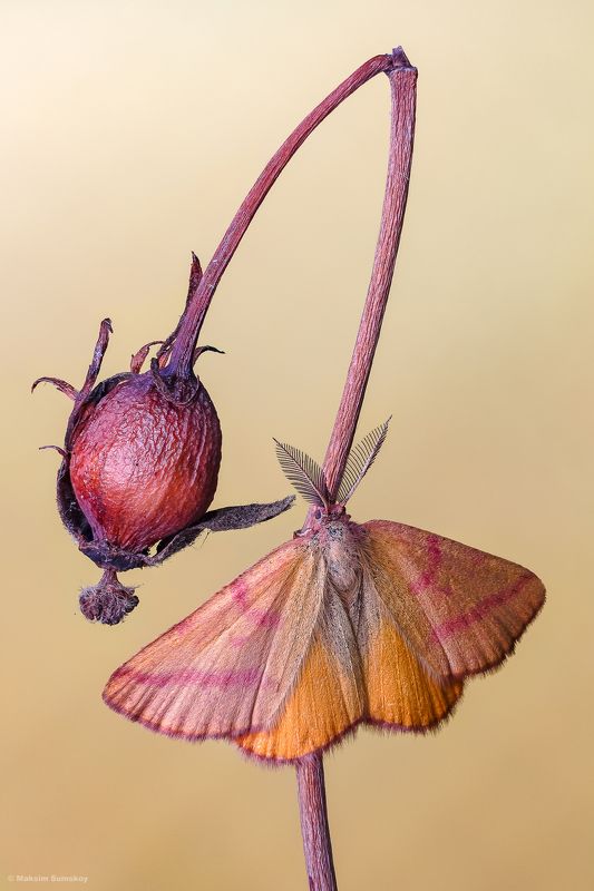 Скоро осень фото превью