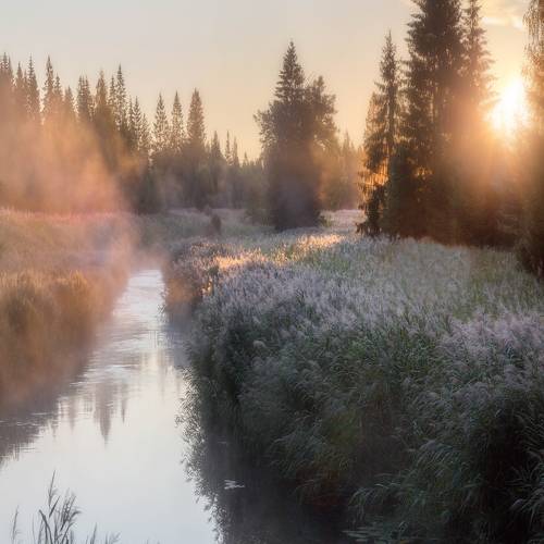 Утро на заповедной реке