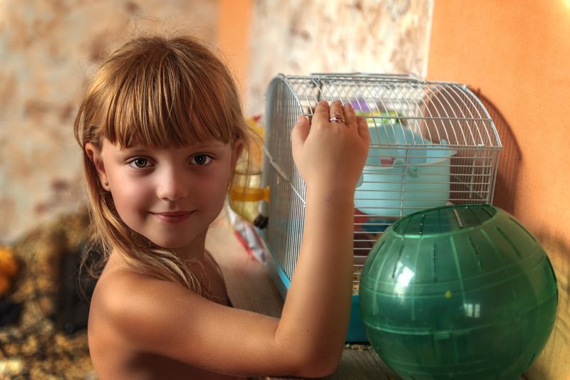 Утро. Внучка. Джунгарик.... фото превью