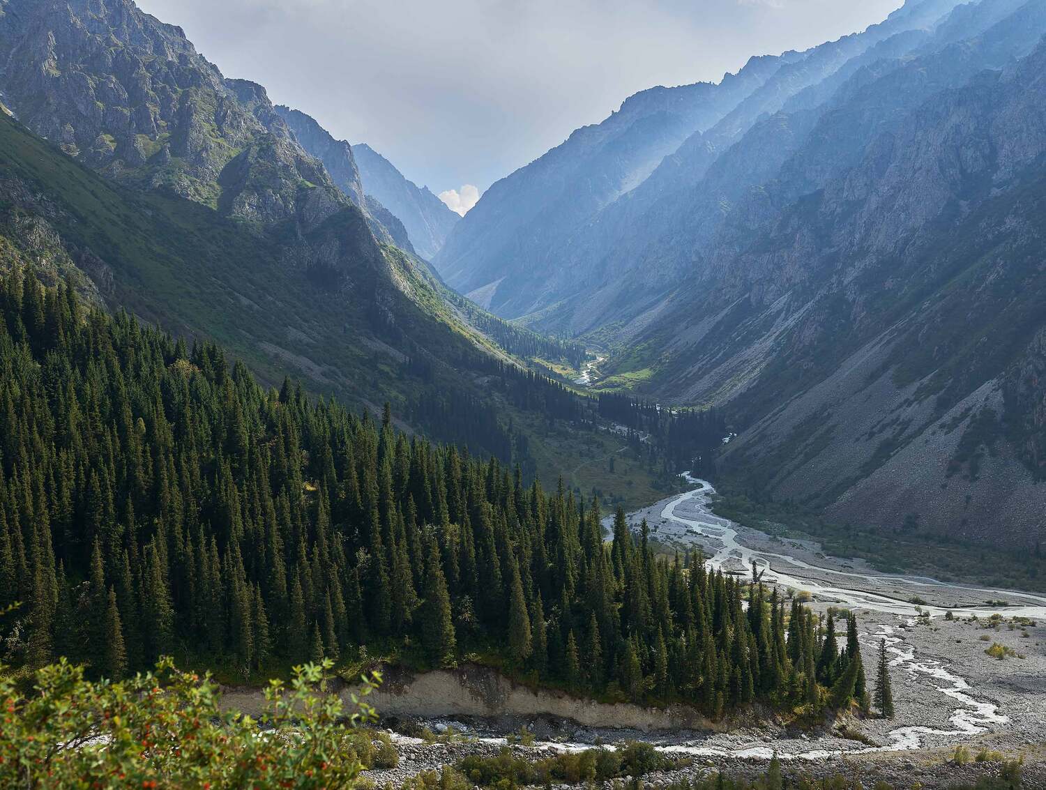 , Борис Дацковский