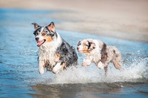 Running on the waves
