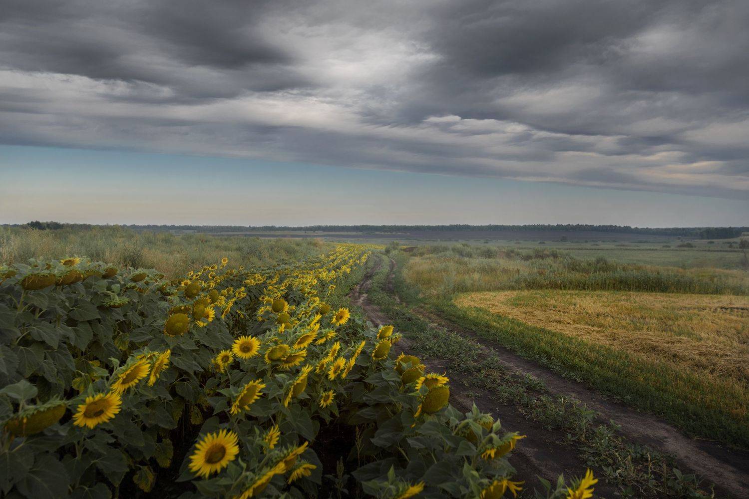 , Сергей Москалянов