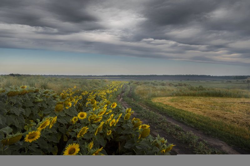 Под серебренным небом фото превью