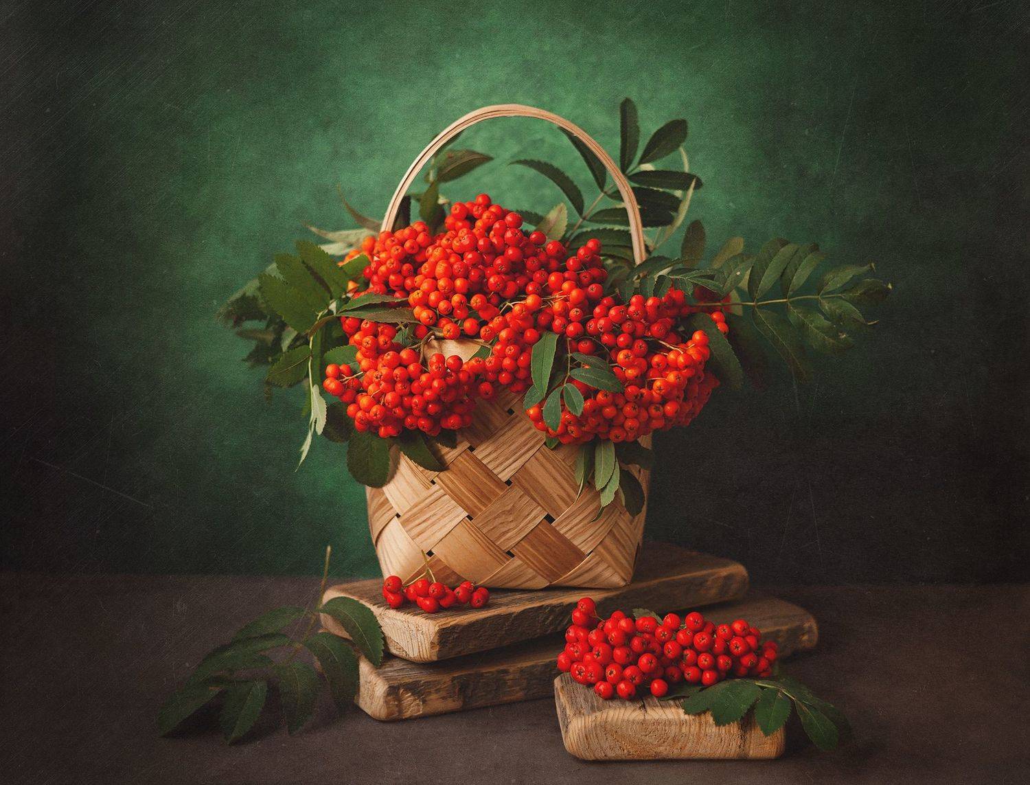 , Наталья Ветошкина