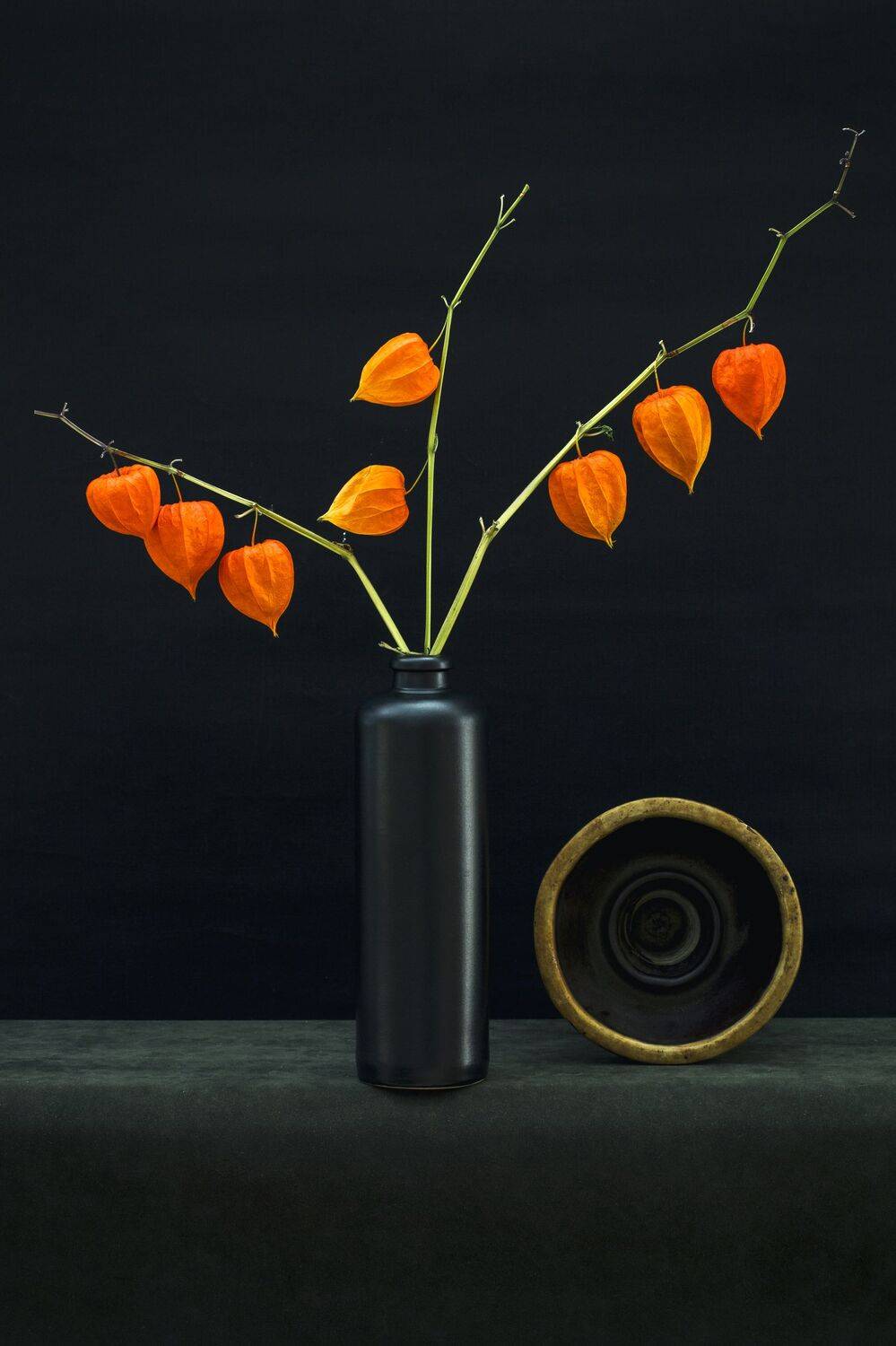 натюрморт, с, физалисом, Валентин Иванцов