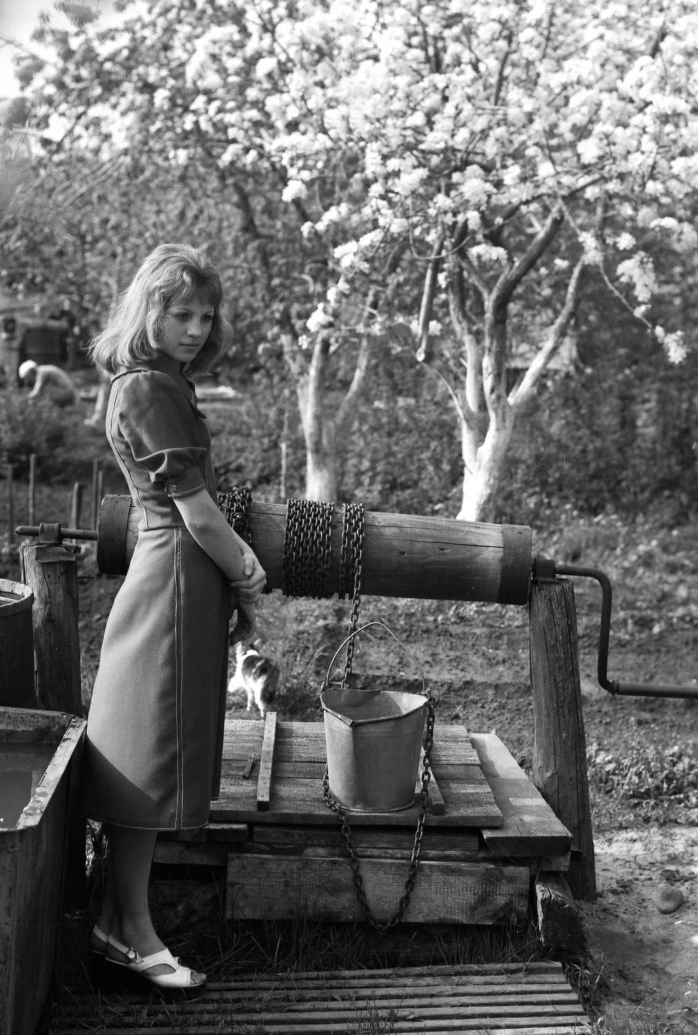 , Владимир Краснов