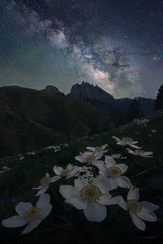 Звездное небо