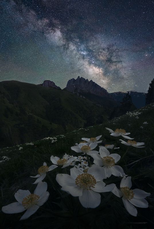 Звездное небо