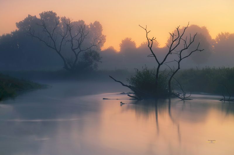 water, landscape, river, fog, reflection, Poland, Kociewie, branch, trees, Glows in the water.  фото превью