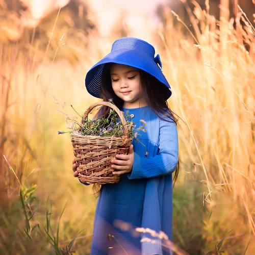 Полюшко поле