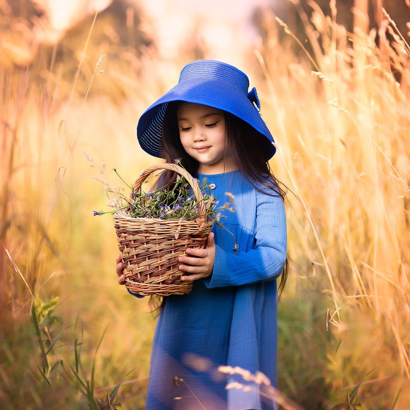 девочка, поле, корзина, шляпа, колосья, синий, желтый Полюшко поле фото превью