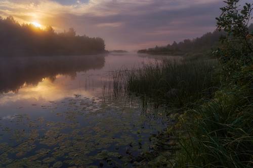 Про утреннюю Мологу-речку и августовский туман