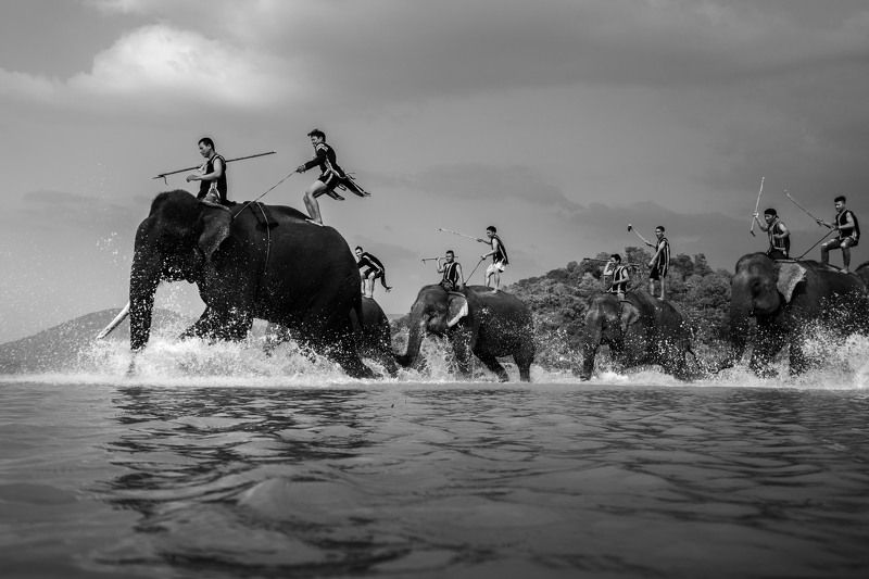 Rehearsal, elephant racing фото превью