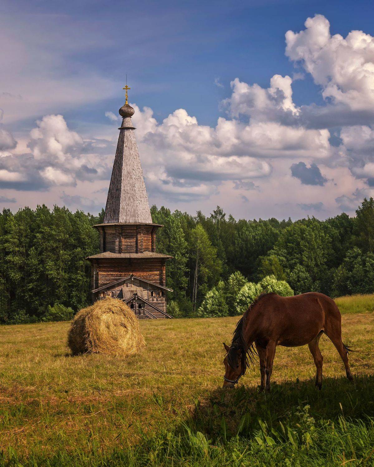 Вогодская обл., Семёнково, деревянное зодчество, Марина Ческис