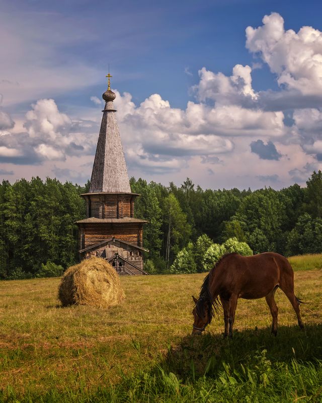 Вогодская обл., Семёнково, деревянное зодчество Август фото превью