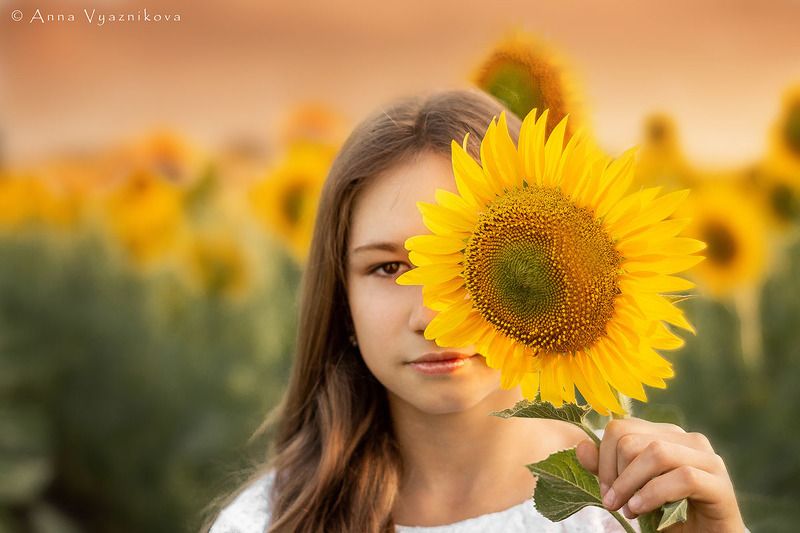 фотограф Лисичанск, детский фотограф, семейный фотограф, фотограф северодонецк, детский портрет, фотосессия на природе, подсолнухи, портрет,  Ирина фото превью