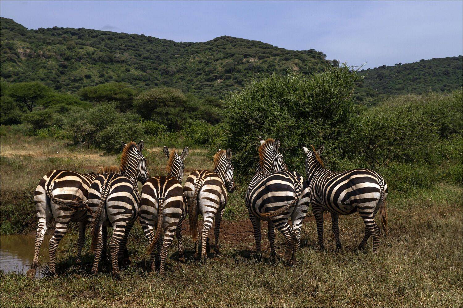 , Валентина Булкина