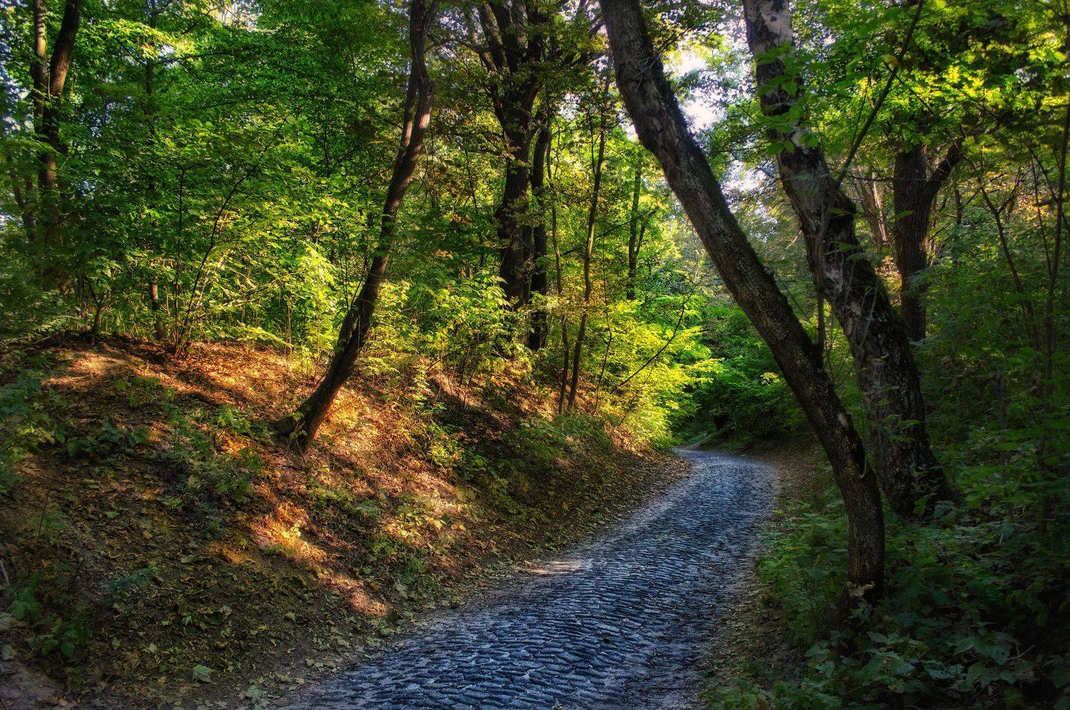 ,  Александр