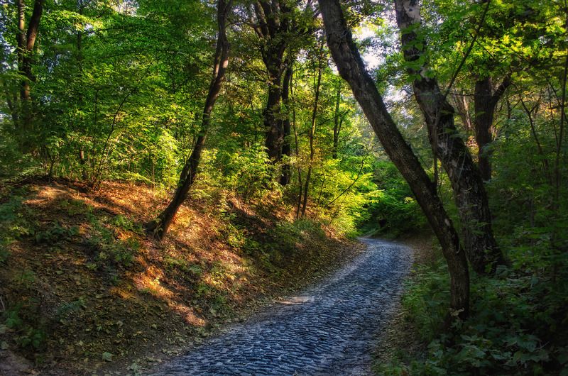 ** фото превью