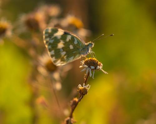 Жаркое лето
