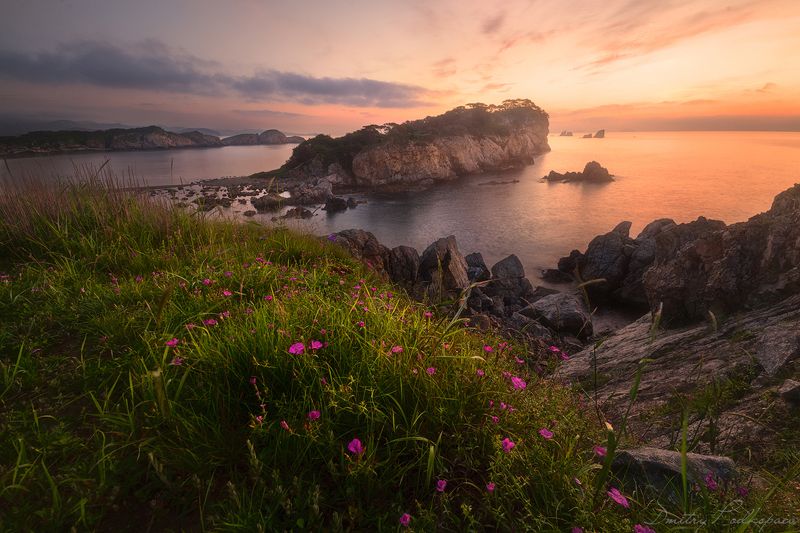 россия,приморский край,хасанский район,бухта орлинка ,море,скалы,камни,тучи,свет,трава,дмитрий подкопаев,мыс астафьева. Летний рассвет на островах. фото превью