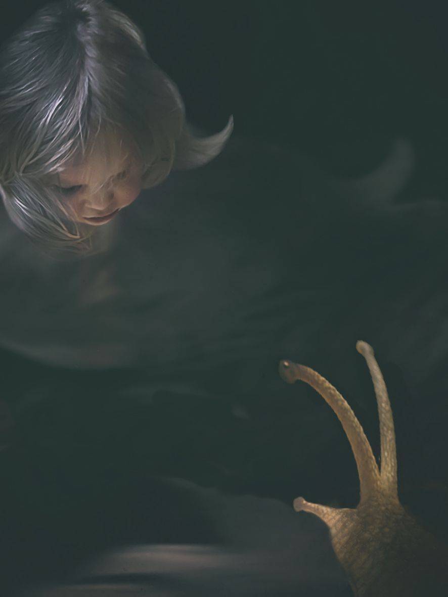 Знакомство. Автор: T. Bondarenko , T. Bondarenko