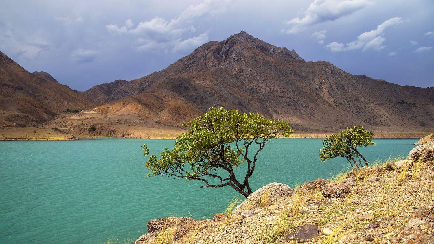 кыргызстан, горы, р.нарын, Элина Магалимова