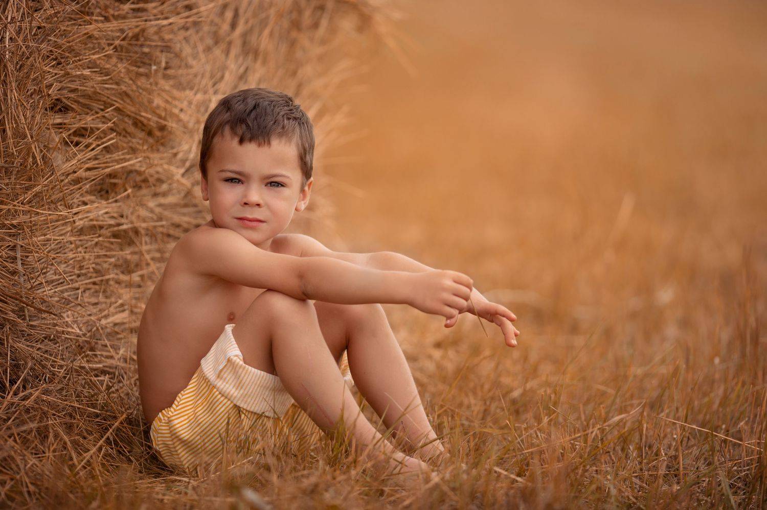 Поле пшеницы, дети, Ольга Сорокина