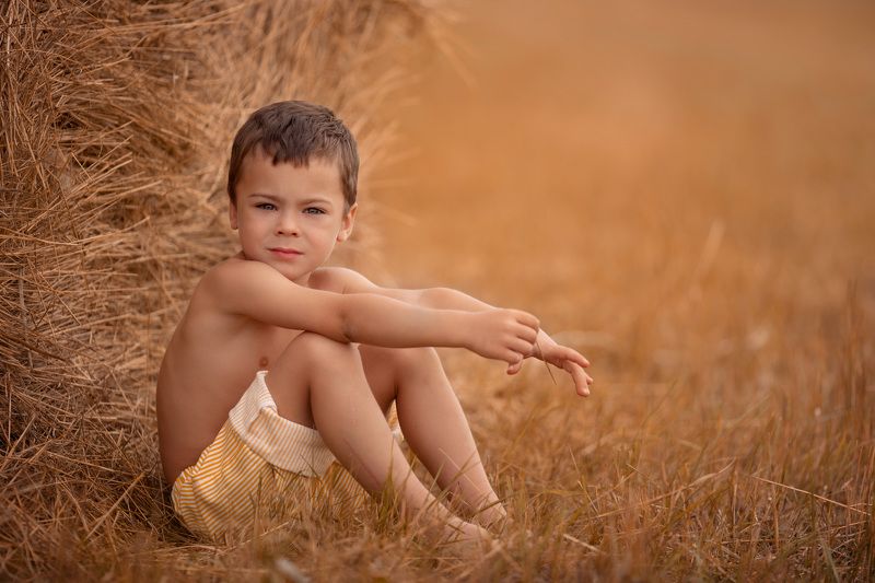 Поле пшеницы, дети В поле фото превью