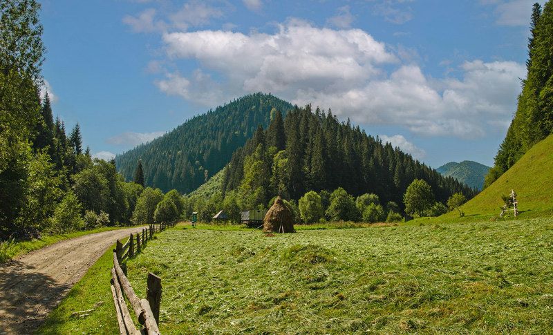 карпаты, мармаросы, гуцульские альпы, лето, вершина петрос мармаросский, вид от села богдан Карпатские пирамиды фото превью