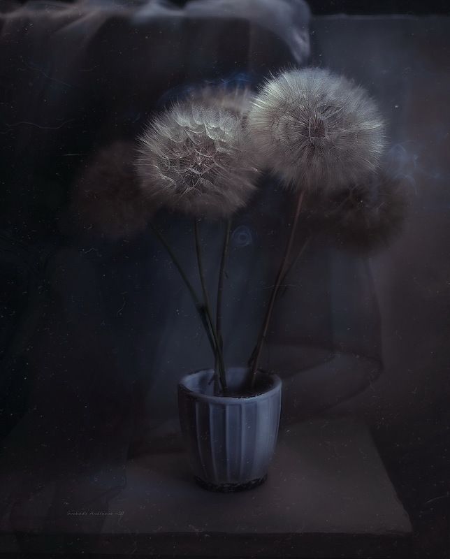 лунтики* фото превью