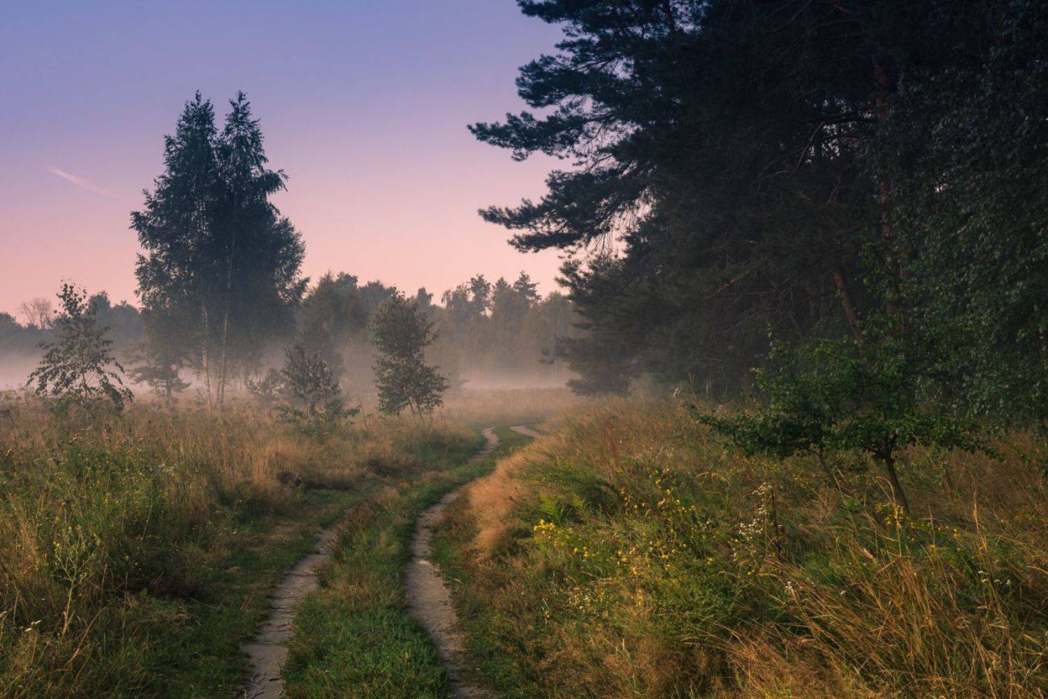 луг лето август рассвет туман, Галанзовская Оксана