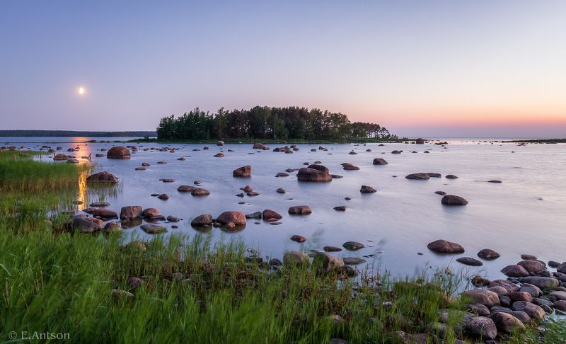 пейзаж, природа, эстония Белые ночи июня фото превью