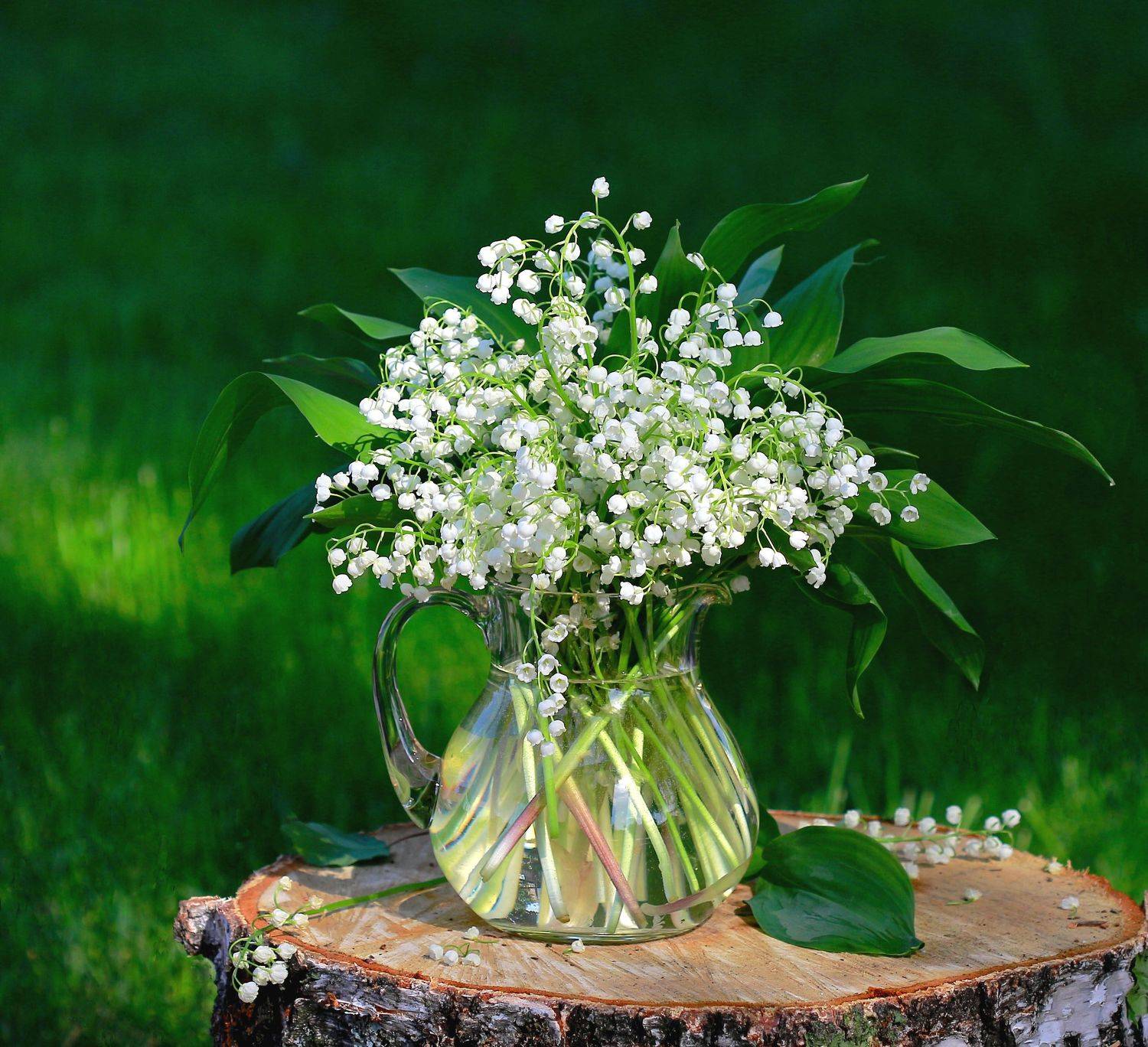 натюрморт, фотонатюрморт, лето, ландыши, цветы, наталья казанцева, Наталья Казанцева