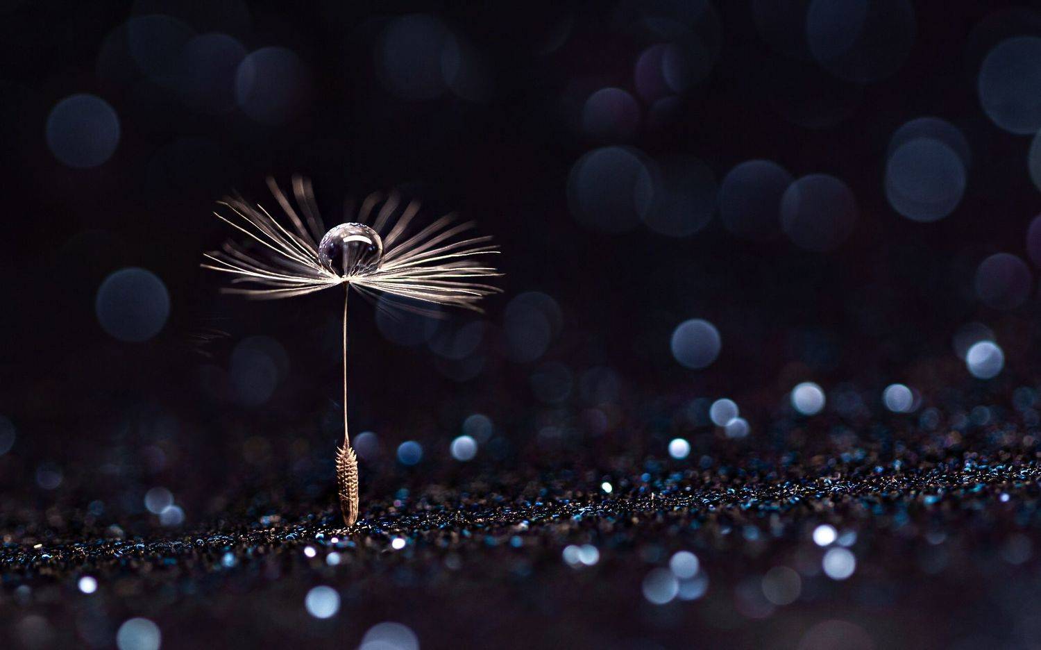 , Александра Юсупова