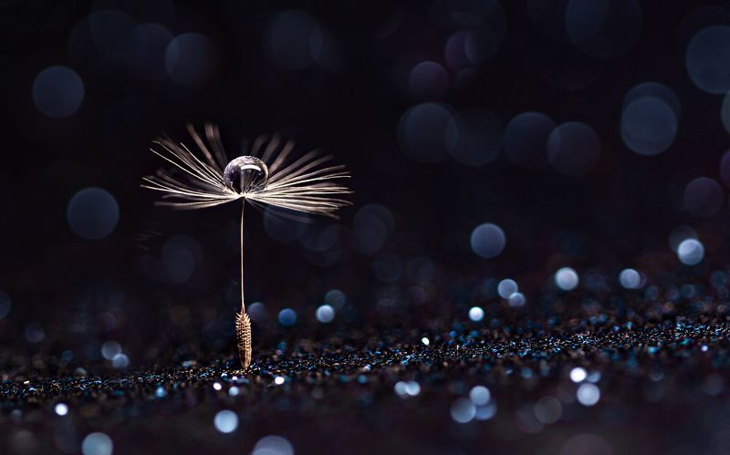 *** фото превью