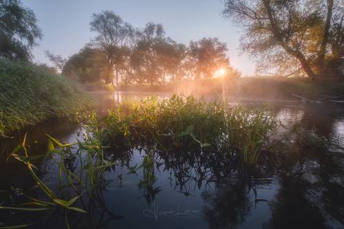 Утро августа