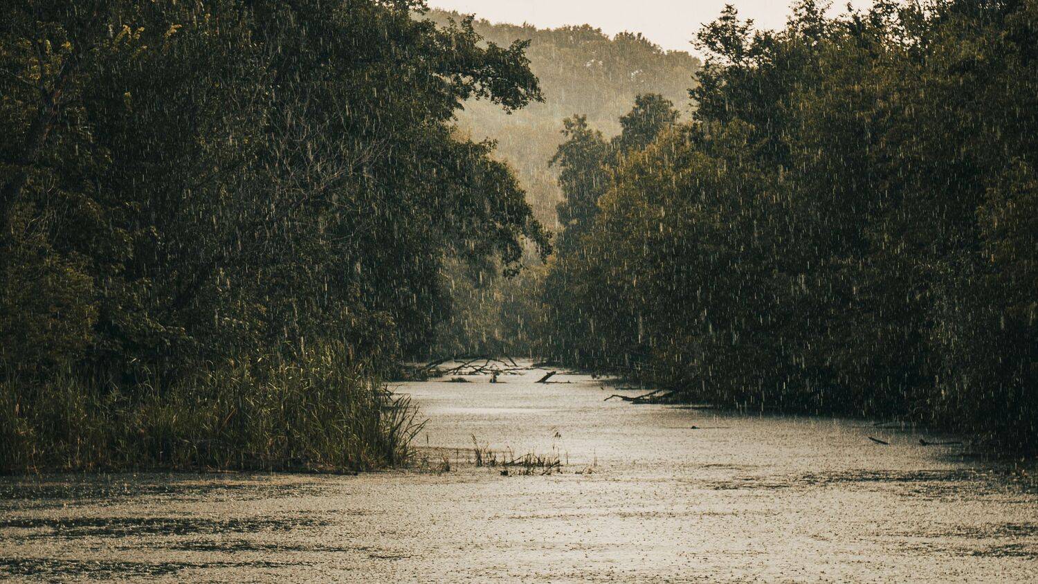 , Юрий Вертиков