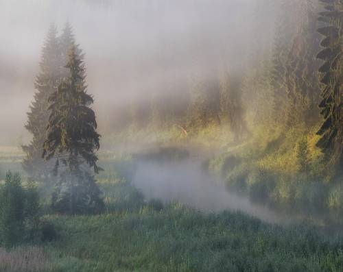 Проснулся день