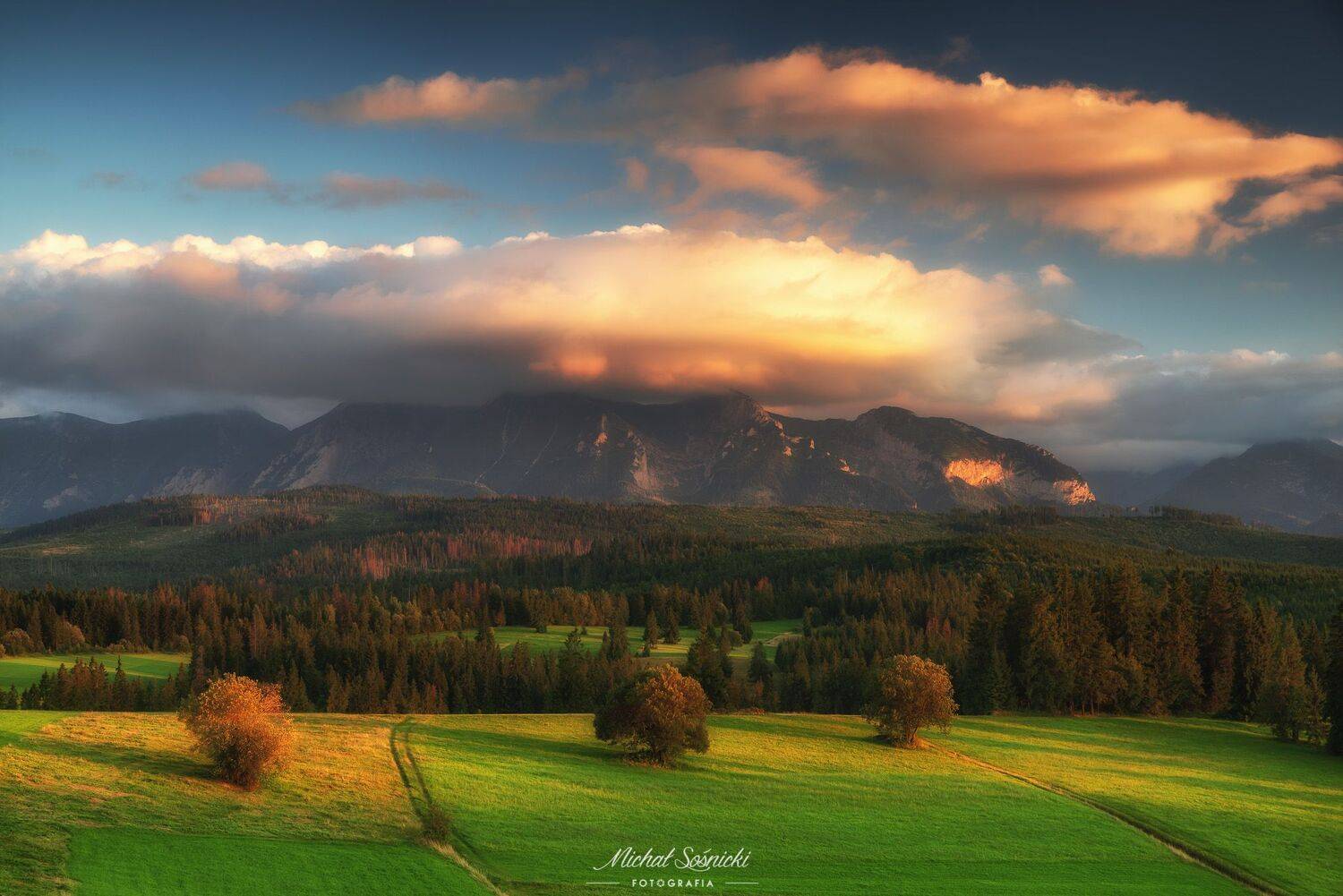 #tree #mountains #summer #sunset #wood #nature #amazing #earth #pics #photo #best #poland, Michał Sośnicki