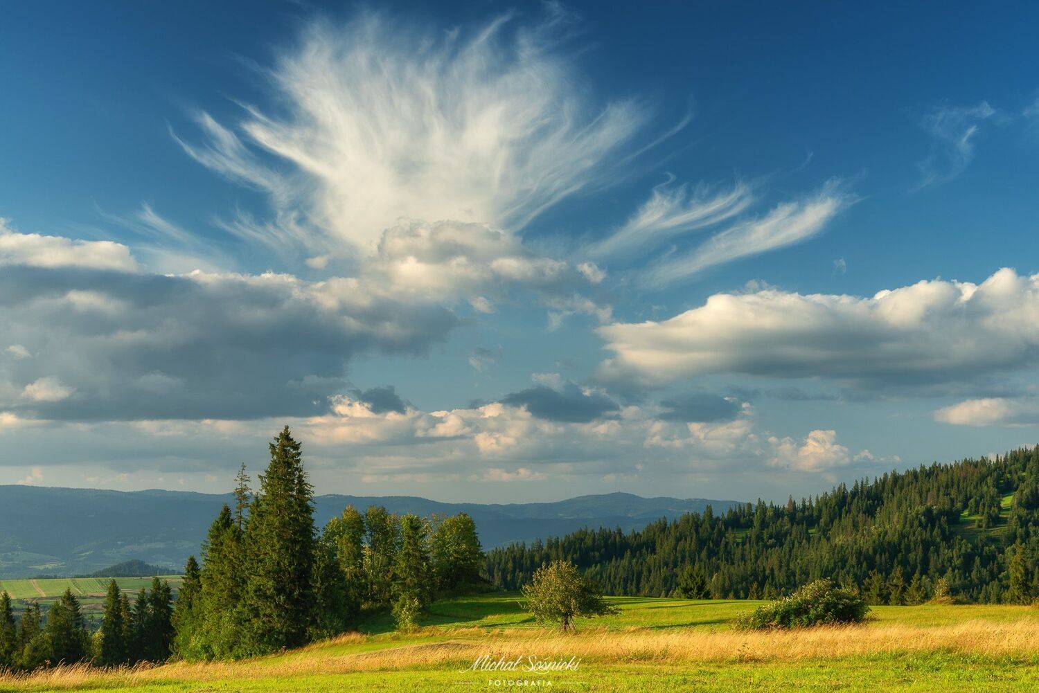 #tree #mountains #summer #sunset #wood #nature #amazing #earth #pics #photo #best #poland, Michał Sośnicki