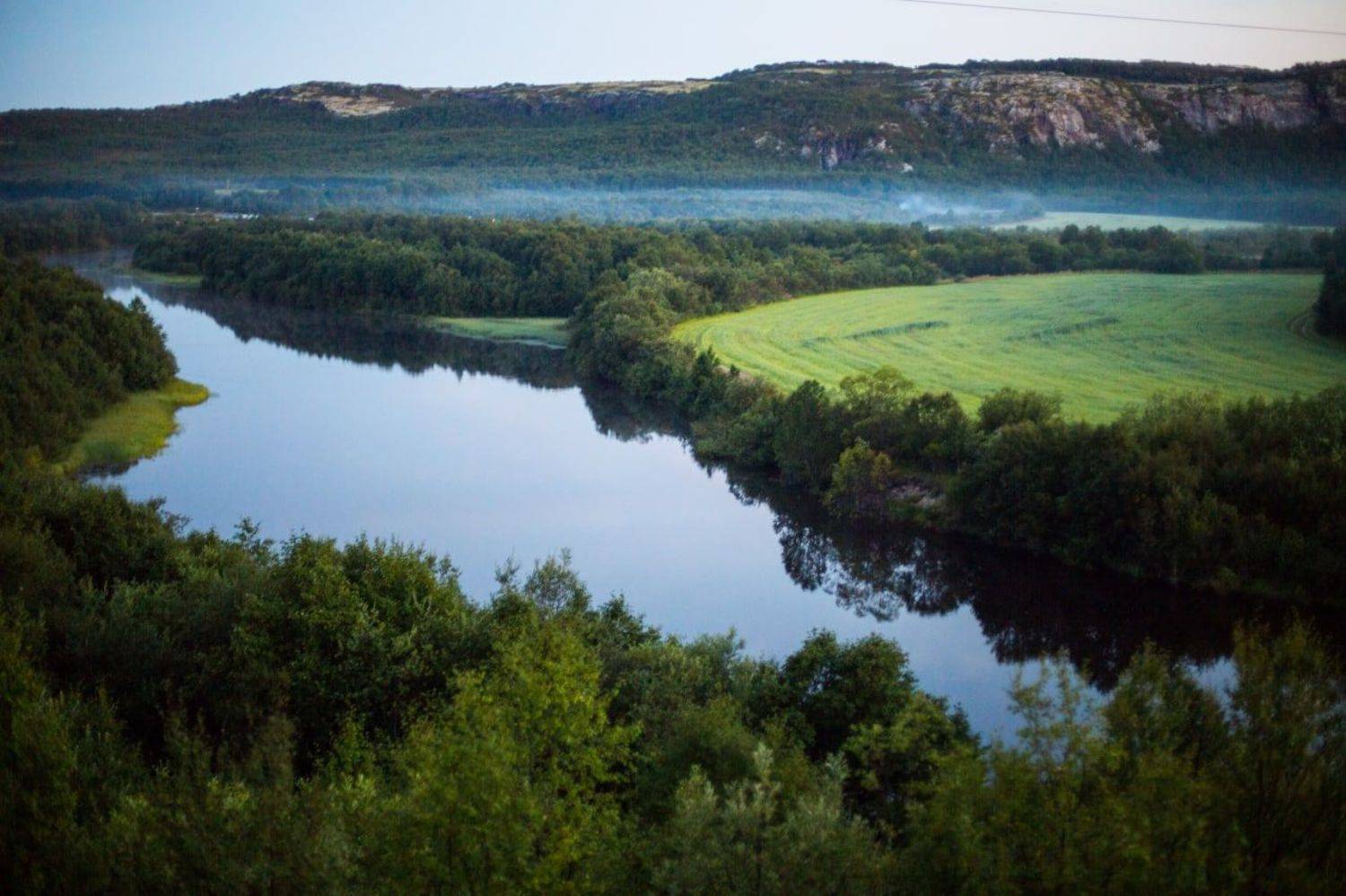 туман, река, лето, белые ночи, деревья, Алёна Салтыкова