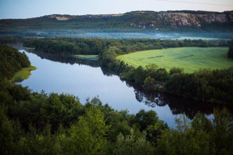 туман, река, лето, белые ночи, деревья Вечерний туман фото превью