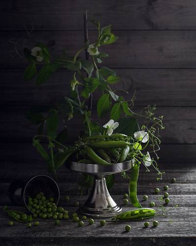 Натюрморт с горохом