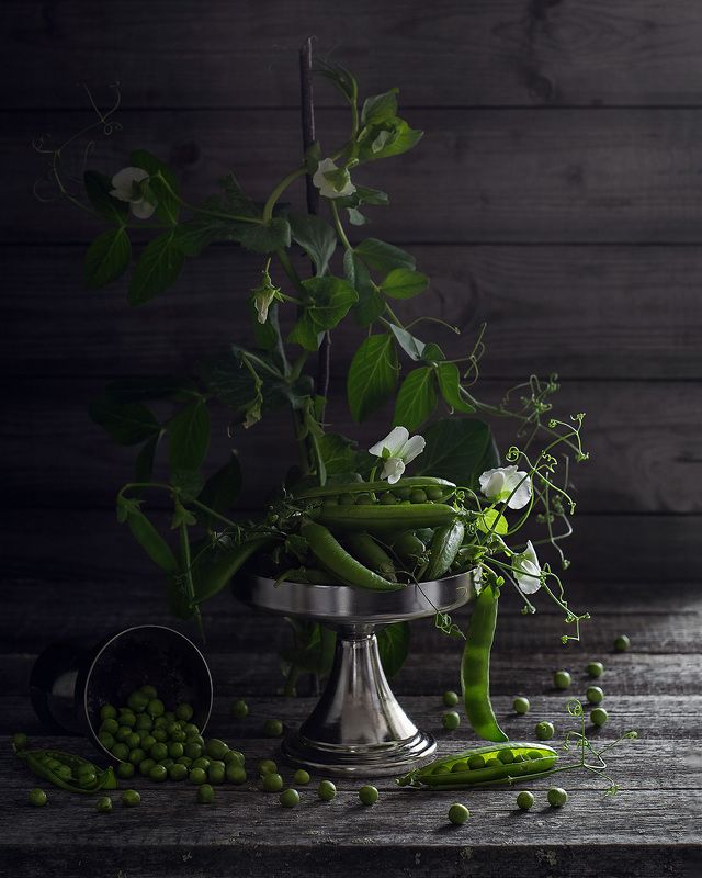 натюрморт фотонатюрморт горох горошек букет Натюрморт с горохом фото превью