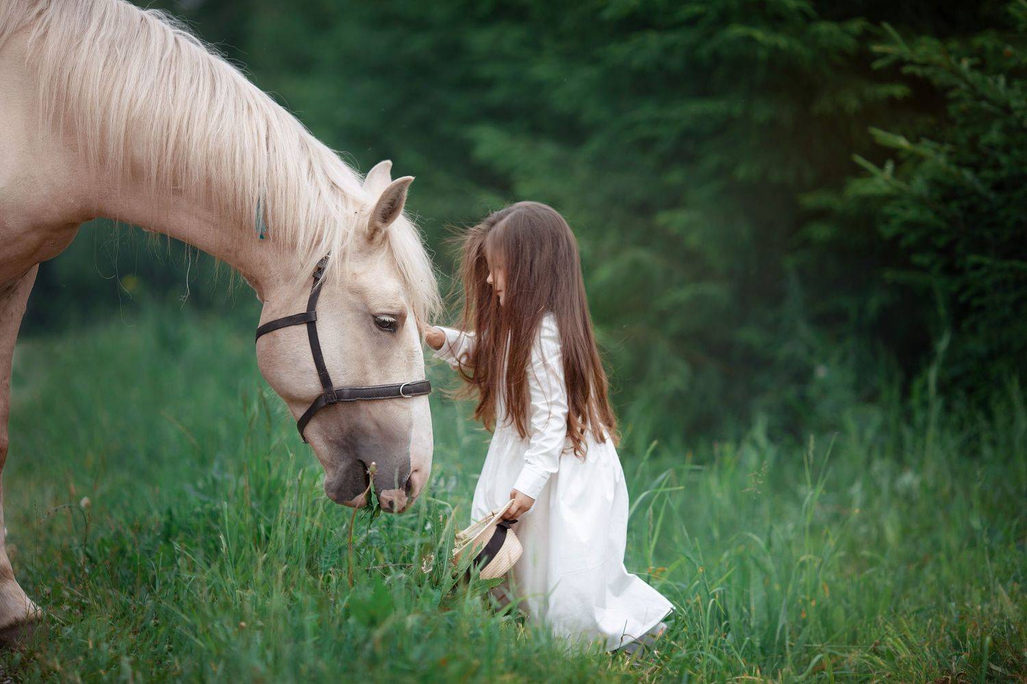 Дети с животными, Ольга Сорокина