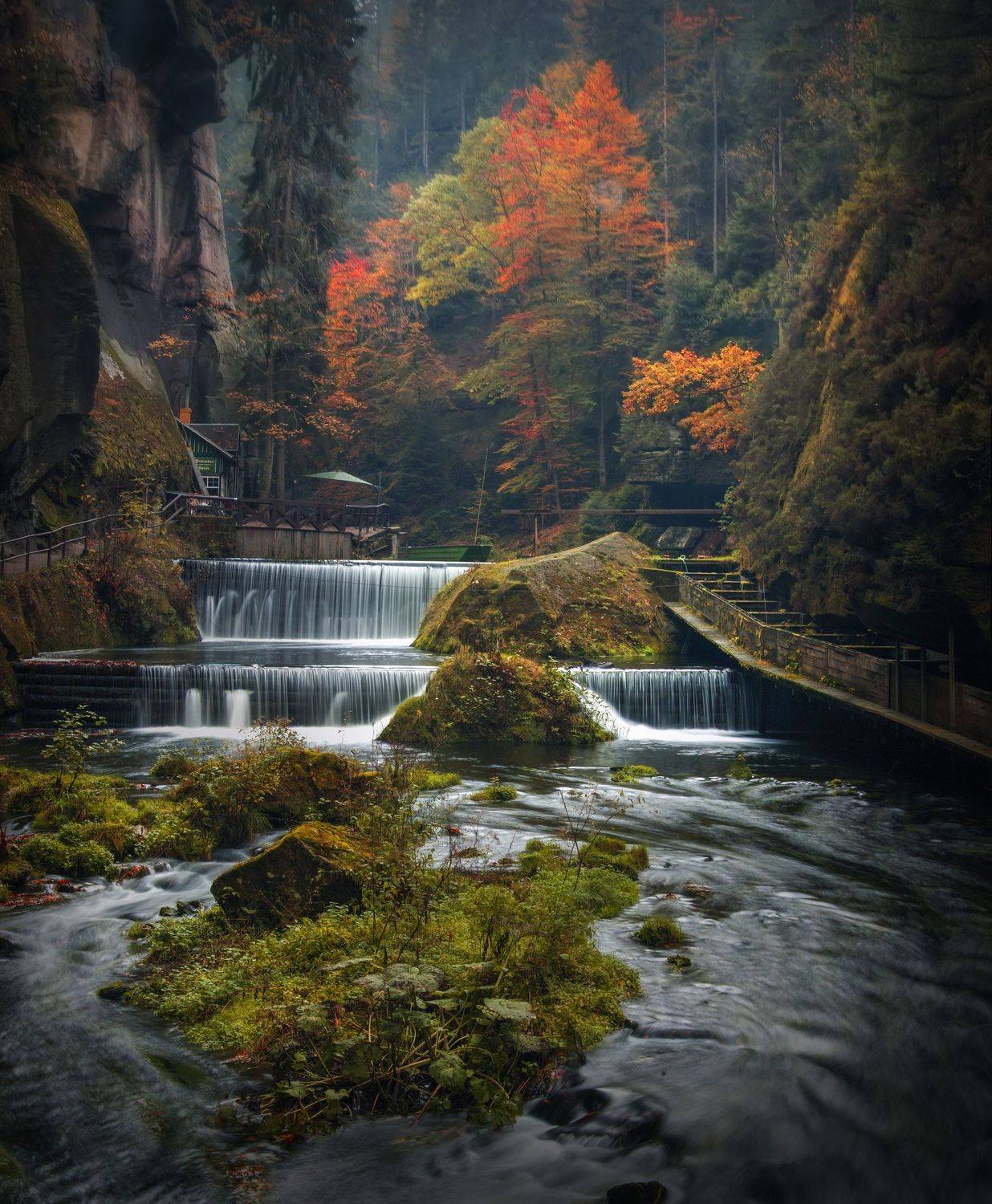 , Александр Беляев