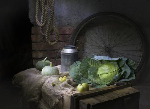 Выросла капуста.