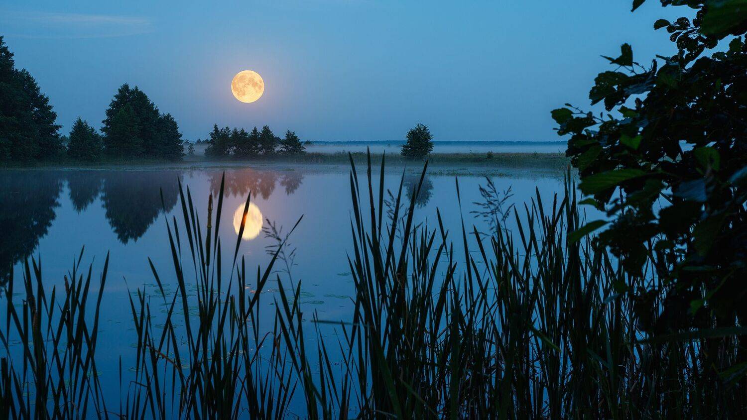 , Сергей Сергеев