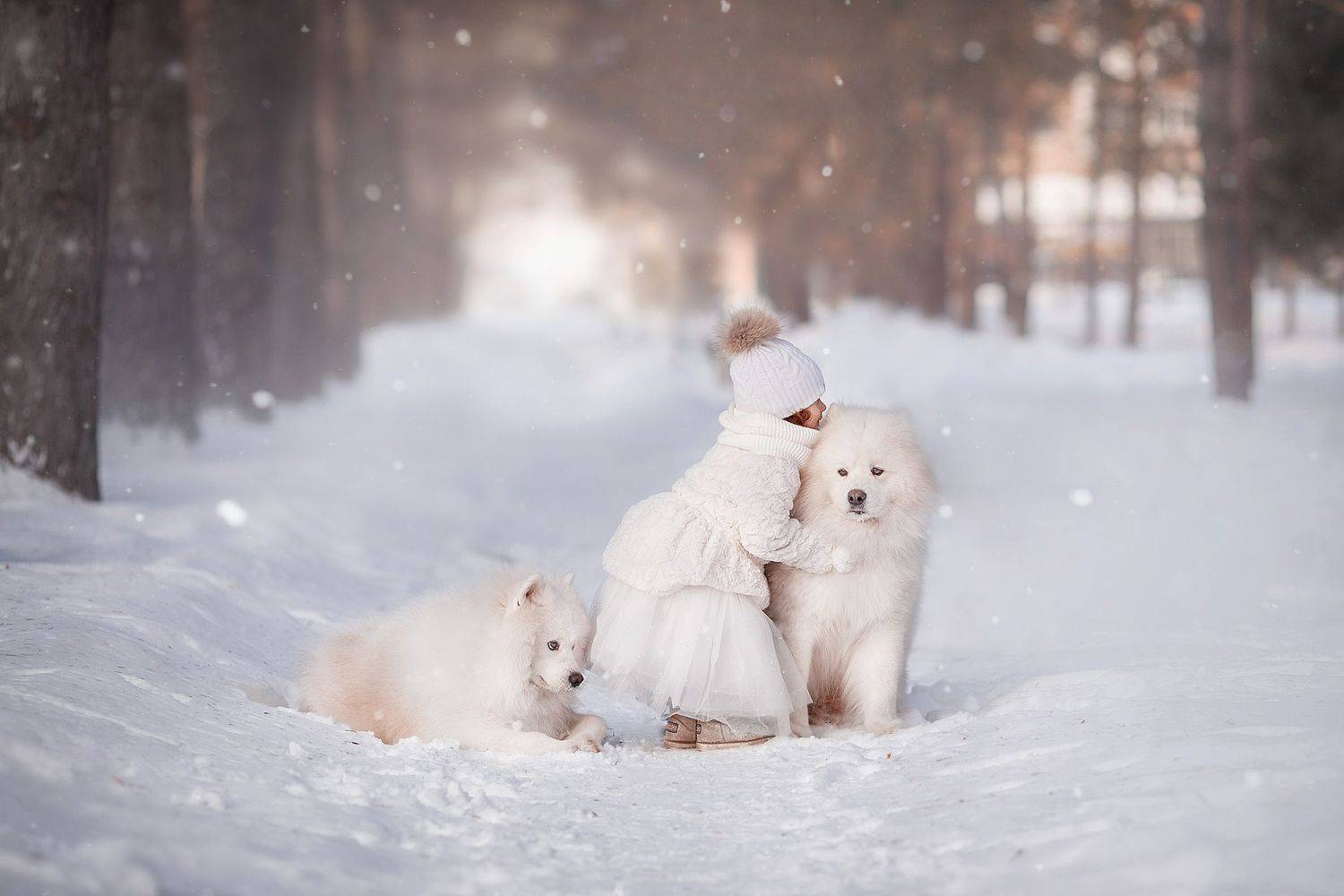 дети и животные, Ольга Сорокина